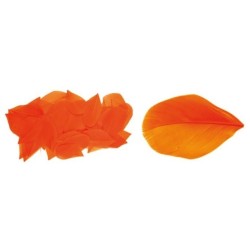 AN-67003 Oranžové peria na dekorovanie 3g