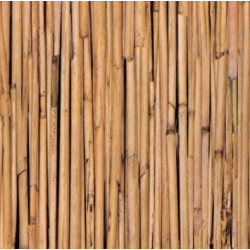 TAP - 10595 Tapeta Bamboo 67,5cm x 15m