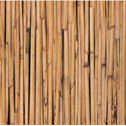 TAP - 10597 Tapeta Bamboo 90cm x 15m