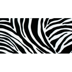 TAP-11029 Tapeta -Nature Zebra 67,5cmx15m