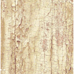 TAP-13774 Tree Shel tapeta 45cmx15m