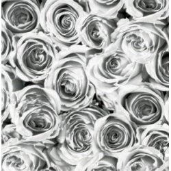 TAP - 12856 Tapeta Roses white grey 45cm x 15m
