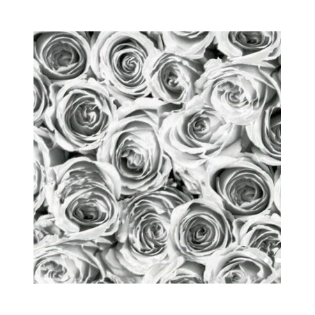 TAP - 12856 Tapeta Roses white grey 45cm x 15m