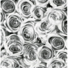 TAP - 12856 Tapeta Roses white grey 45cm x 15m