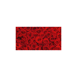 FOL-4605 Dekor papier 270g Ruže 50x70cm