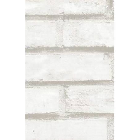 TAP-12207 Brick White 45cmx15m