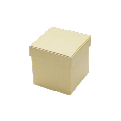 PEN-7560 Kartonové boxy 2ks 15x15x15cm